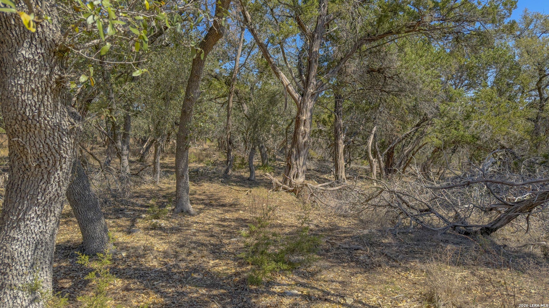 1.26 acres in Comal County - photo 27