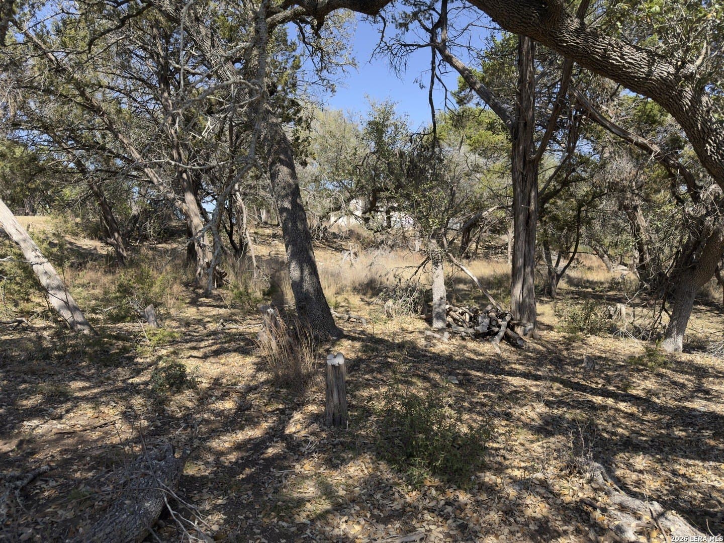 1.26 acres in Comal County - photo 10