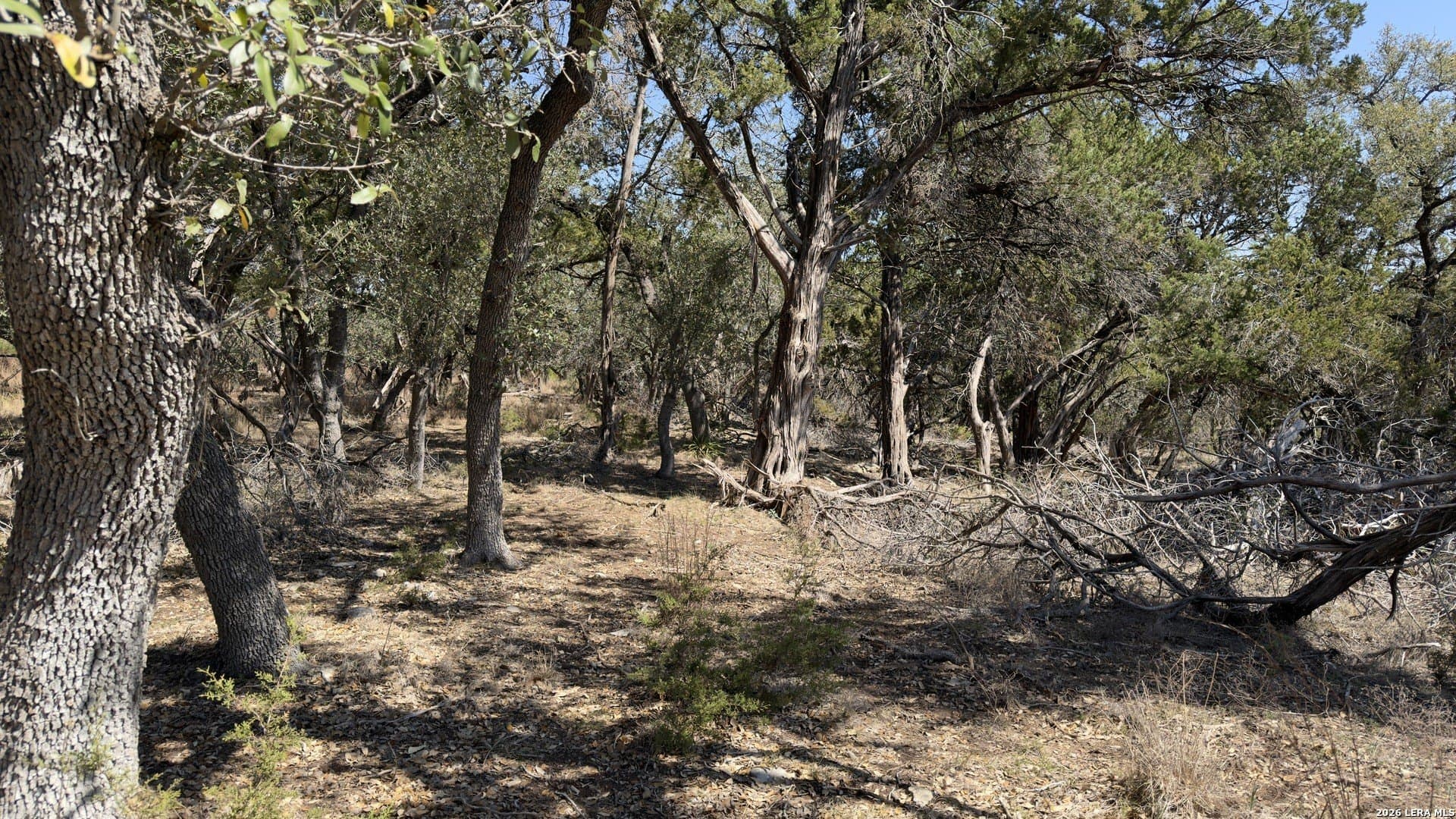 1.26 acres in Comal County - photo 29