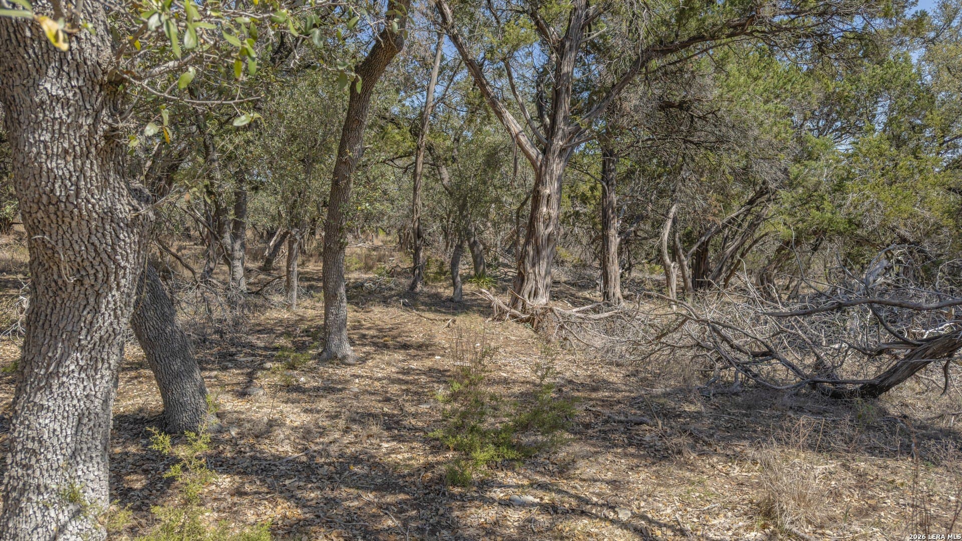 1.26 acres in Comal County - photo 26