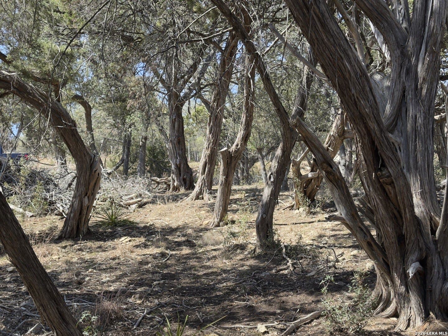 1.26 acres in Comal County - photo 3