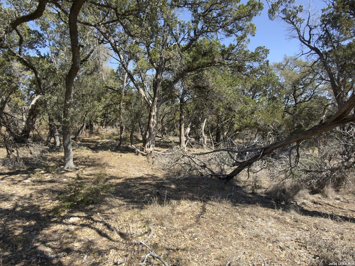1.26 acres in Comal County - photo 8