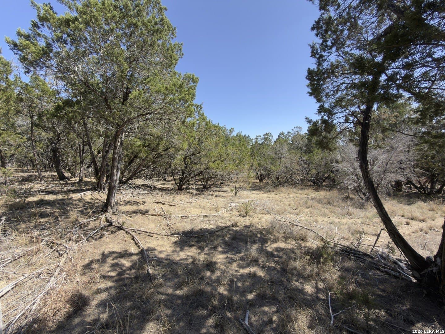 1.26 acres in Comal County - photo 4