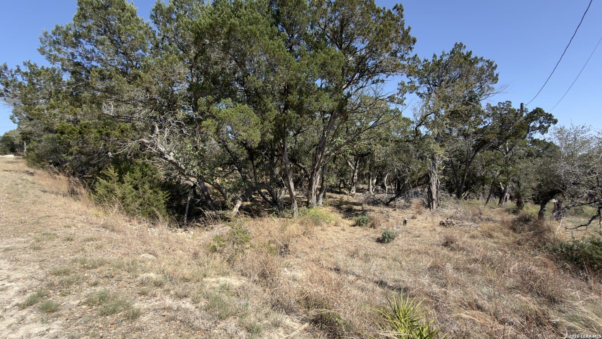 1.26 acres in Comal County - photo 31