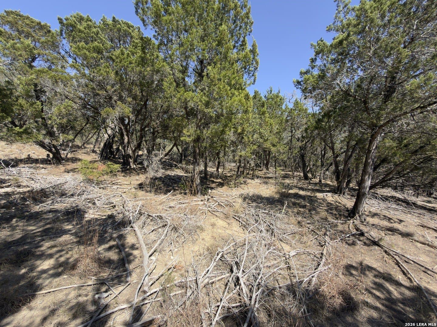 1.26 acres in Comal County - photo 7