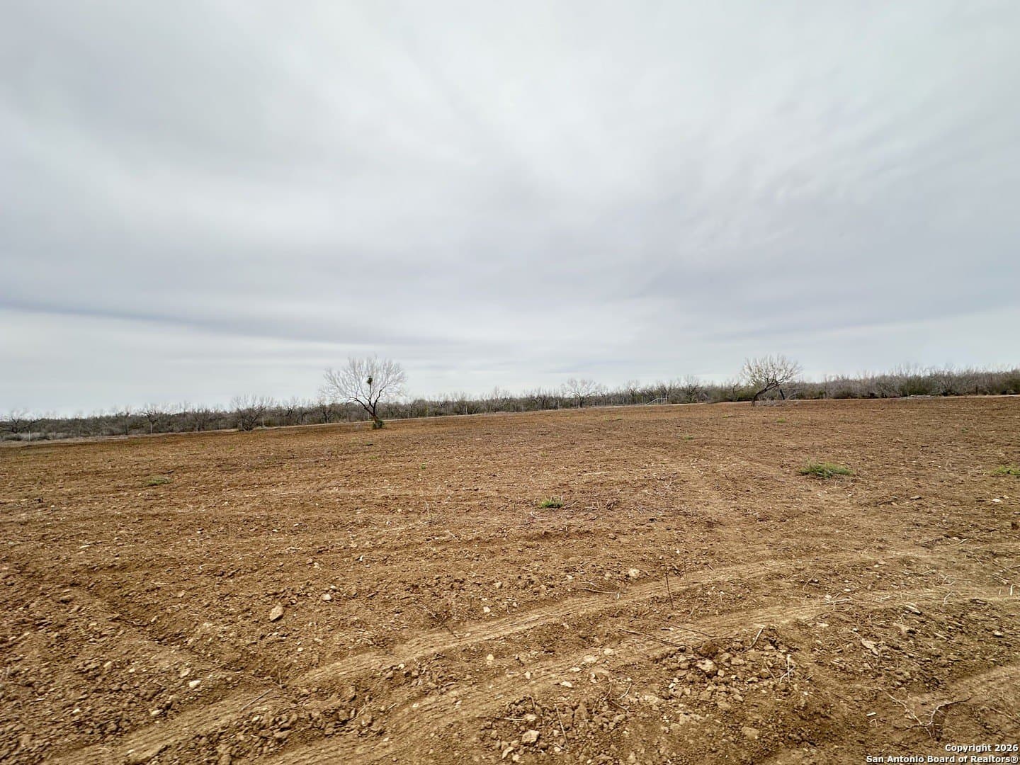19.12 acres in Atascosa County - photo 24