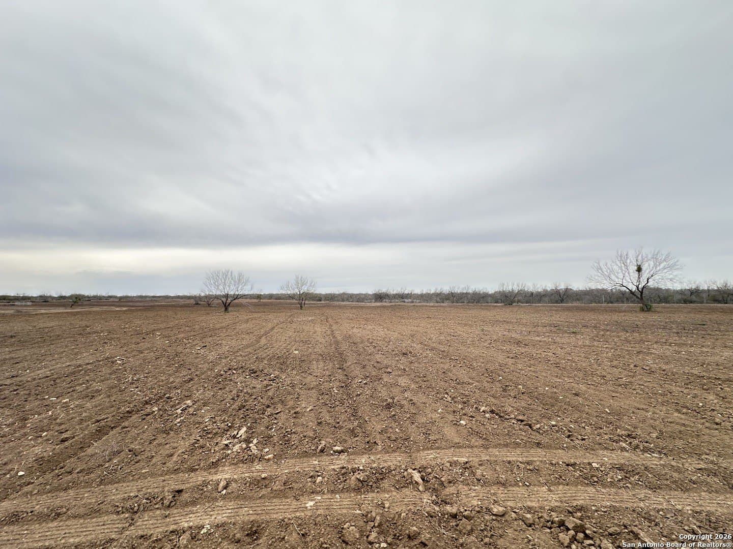 19.12 acres in Atascosa County - photo 18