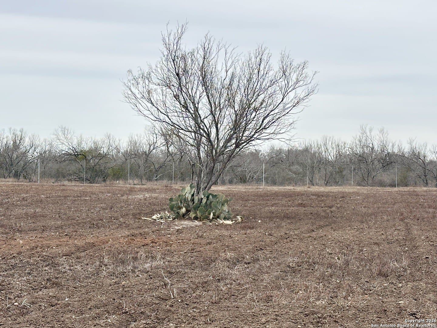 19.12 acres in Atascosa County - photo 14