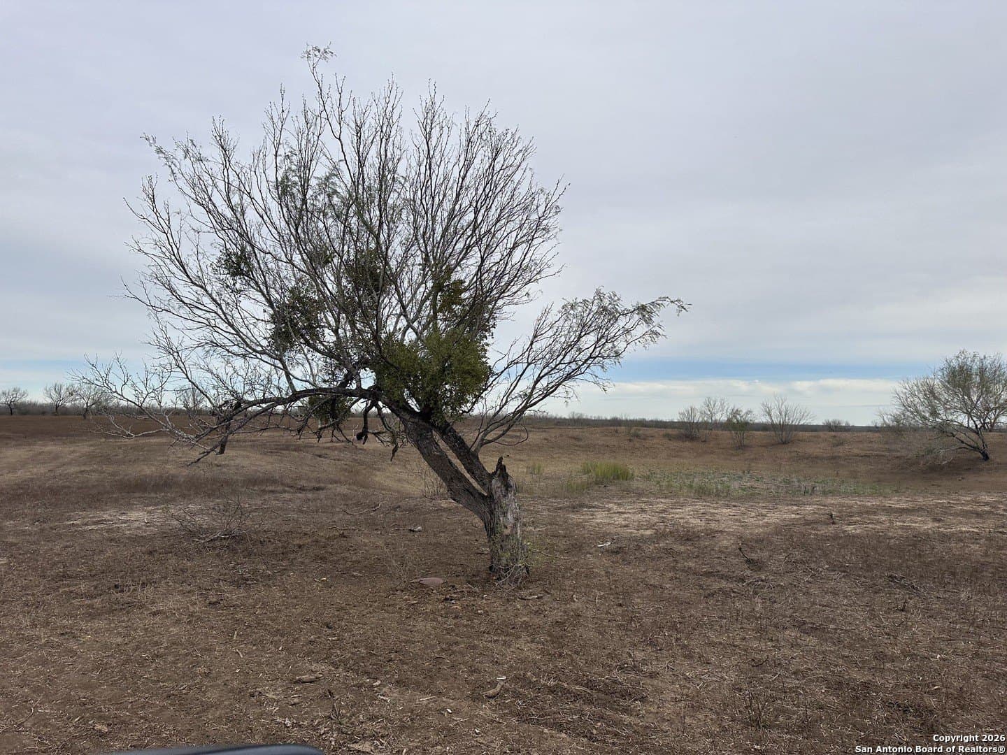 19.12 acres in Atascosa County - photo 25