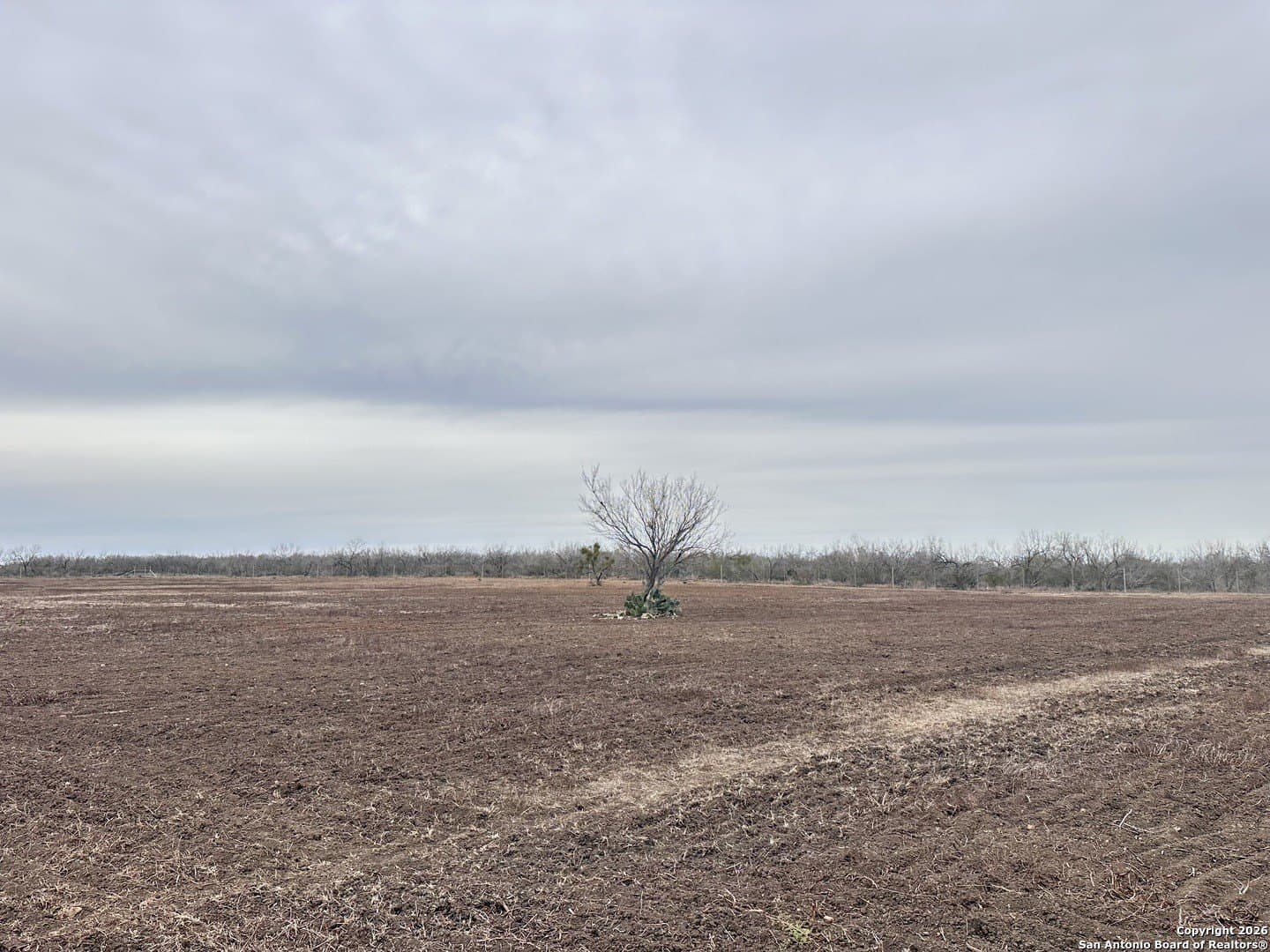 19.12 acres in Atascosa County - photo 15