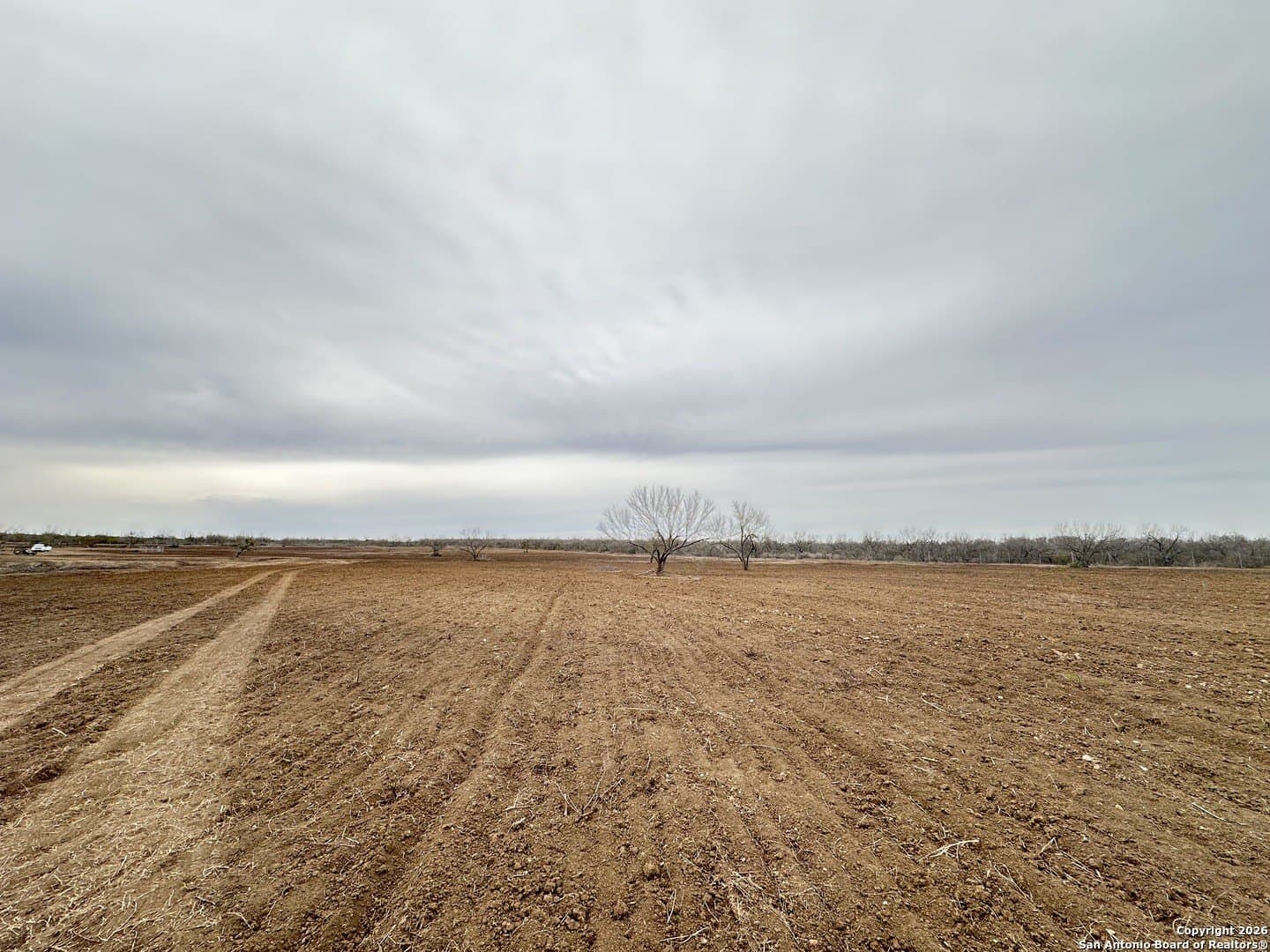 19.12 acres in Atascosa County - photo 16