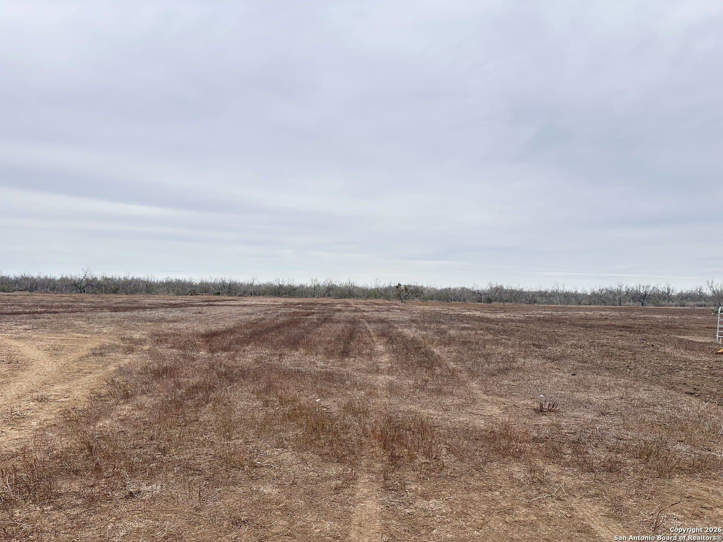 19.12 acres in Atascosa County - photo 29