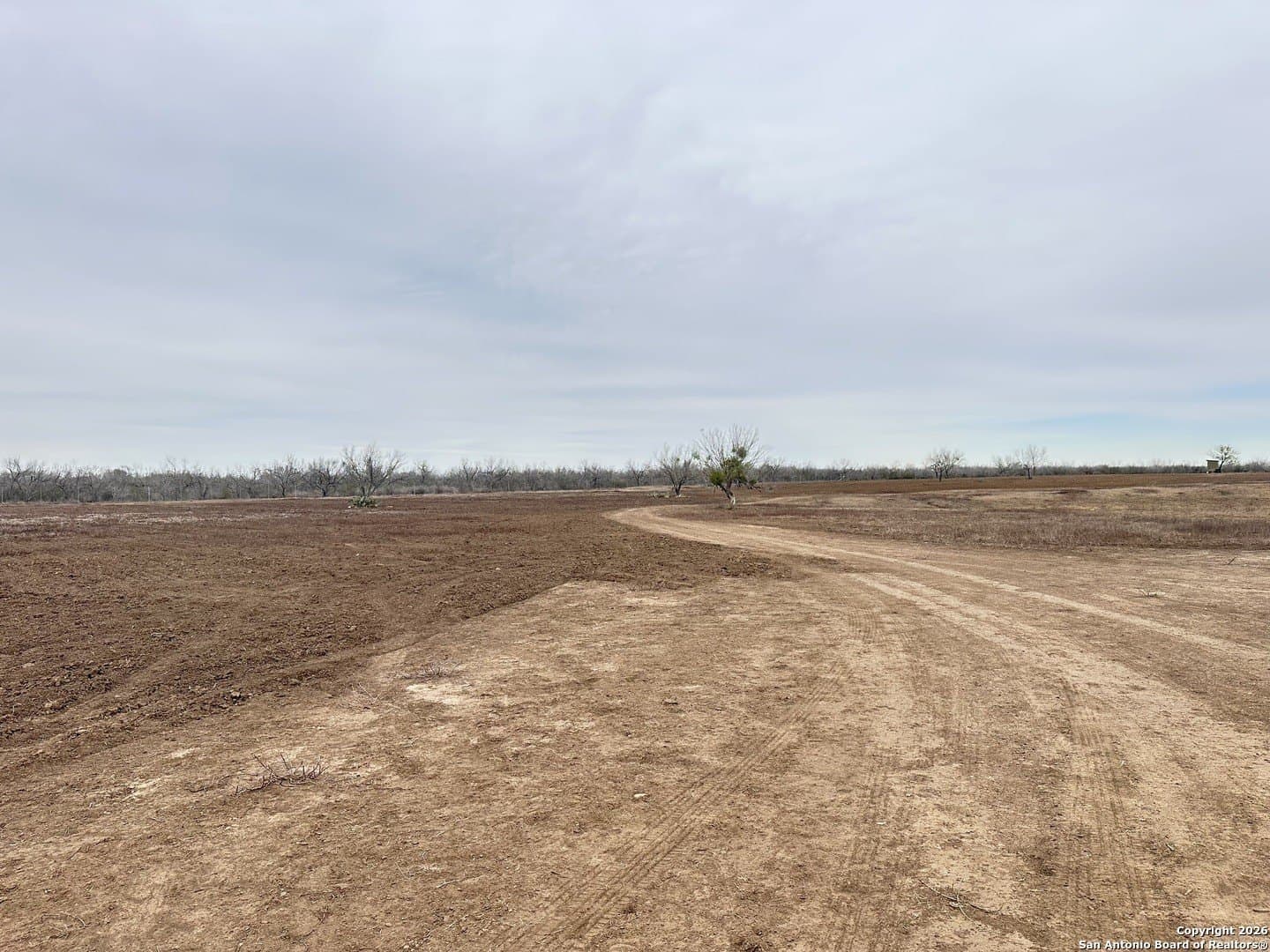 19.12 acres in Atascosa County - photo 6