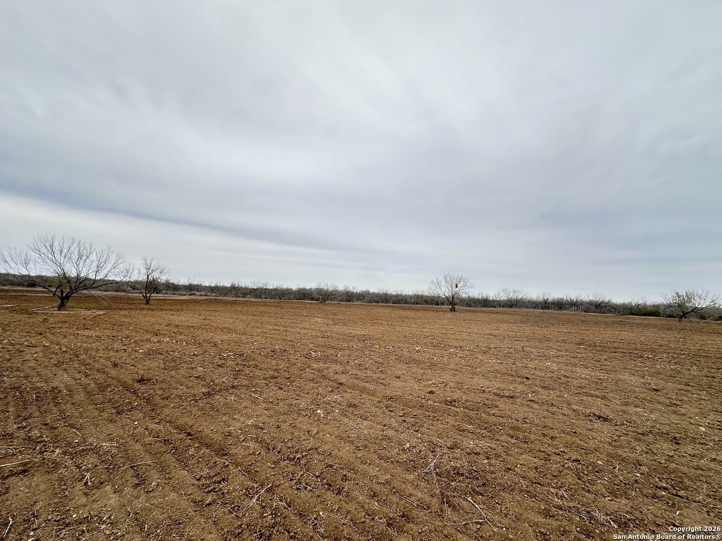 19.12 acres in Atascosa County - photo 19