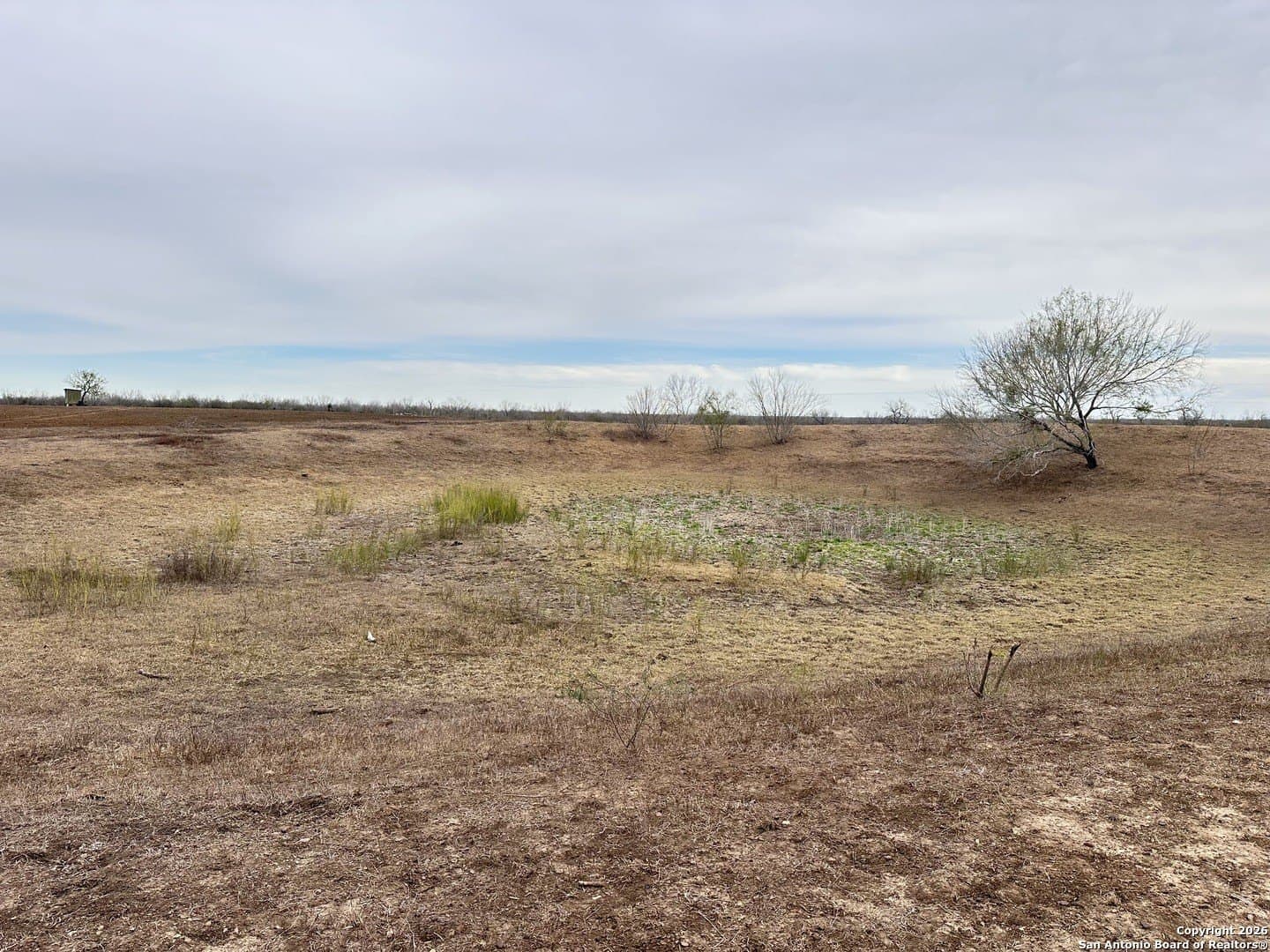 19.12 acres in Atascosa County - photo 12
