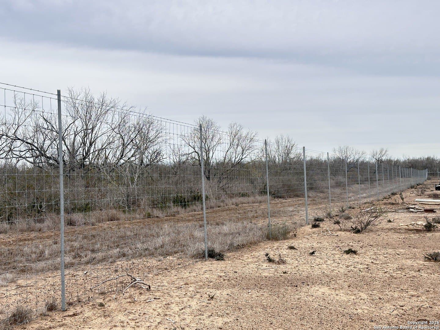 19.12 acres in Atascosa County gallery image 3