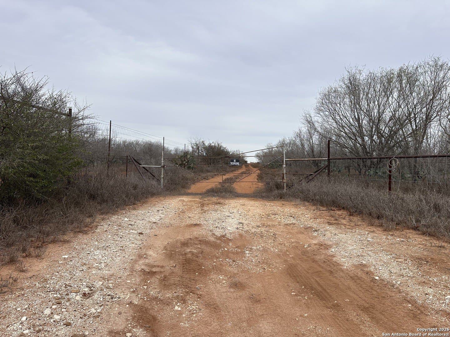 19.12 acres in Atascosa County gallery image 2
