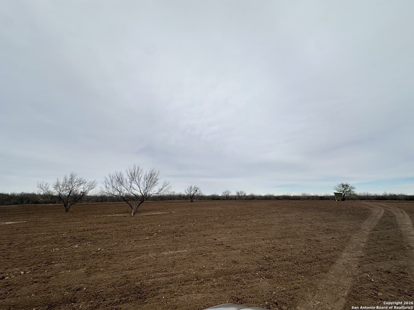 19.12 acres in Atascosa County - photo 26