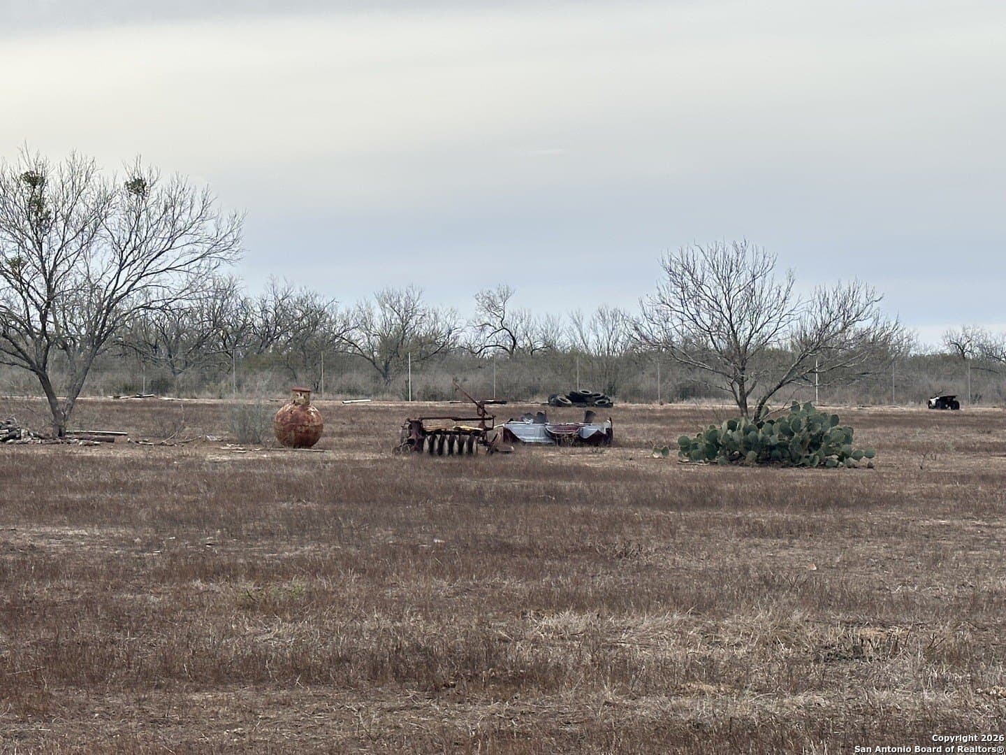 19.12 acres in Atascosa County gallery image 4