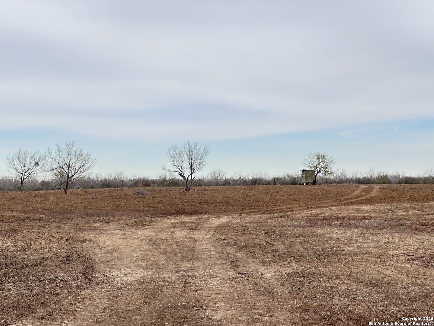 19.12 acres in Atascosa County - photo 20