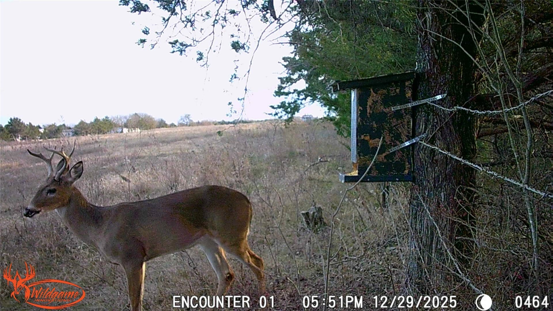 14.25 acres in Grayson County - photo 5