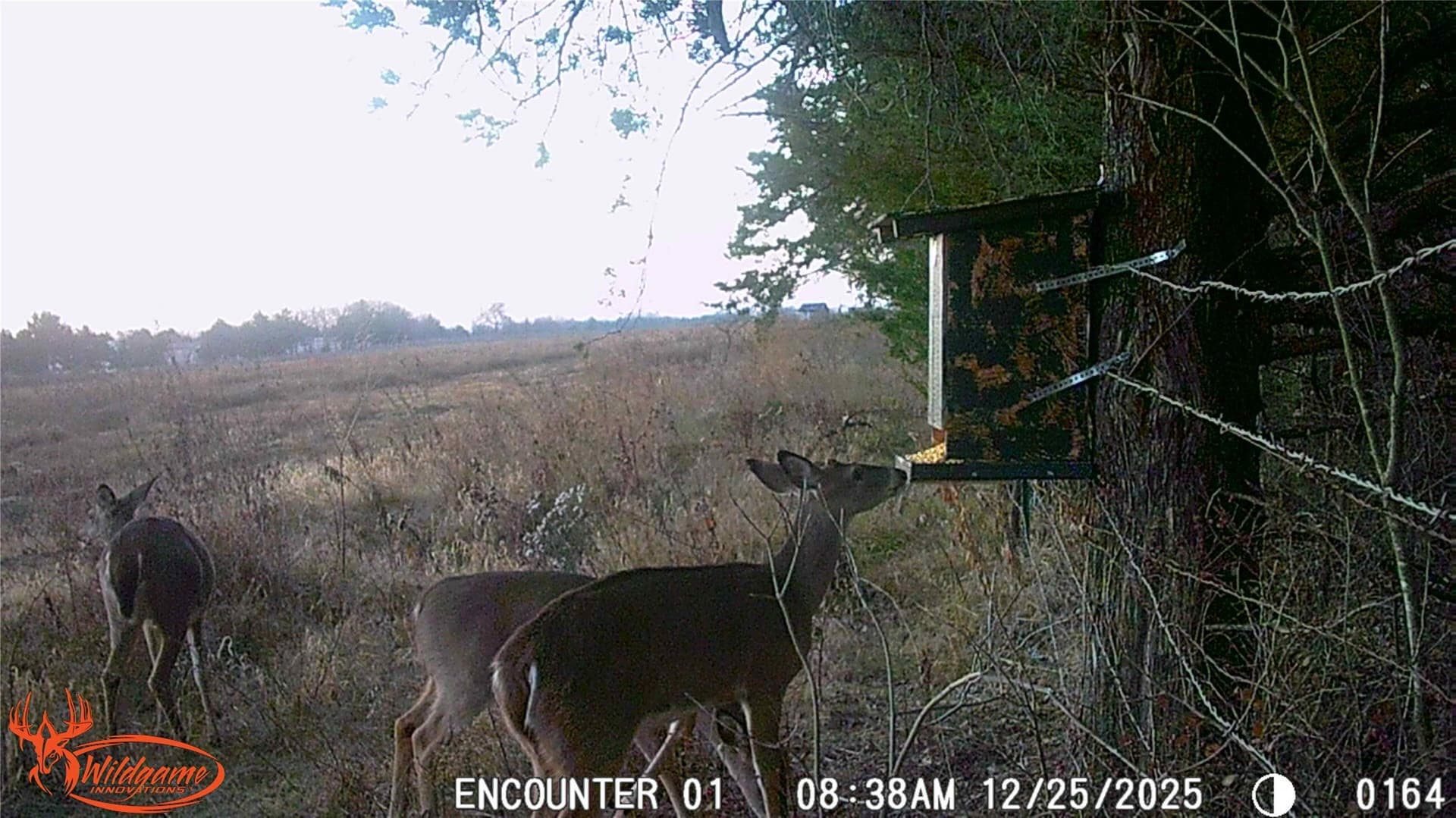 14.25 acres in Grayson County - photo 6
