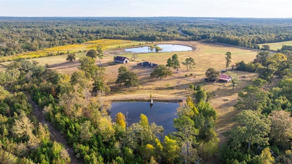 275 acres in Wood County