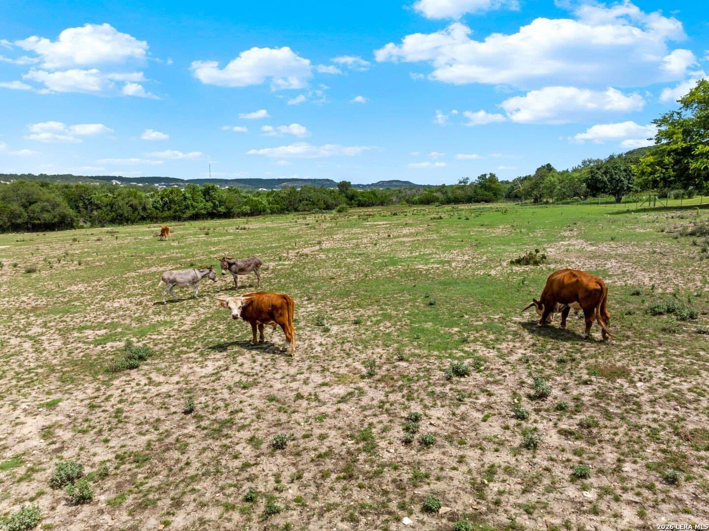 12.09 acres in Gillespie County - photo 2