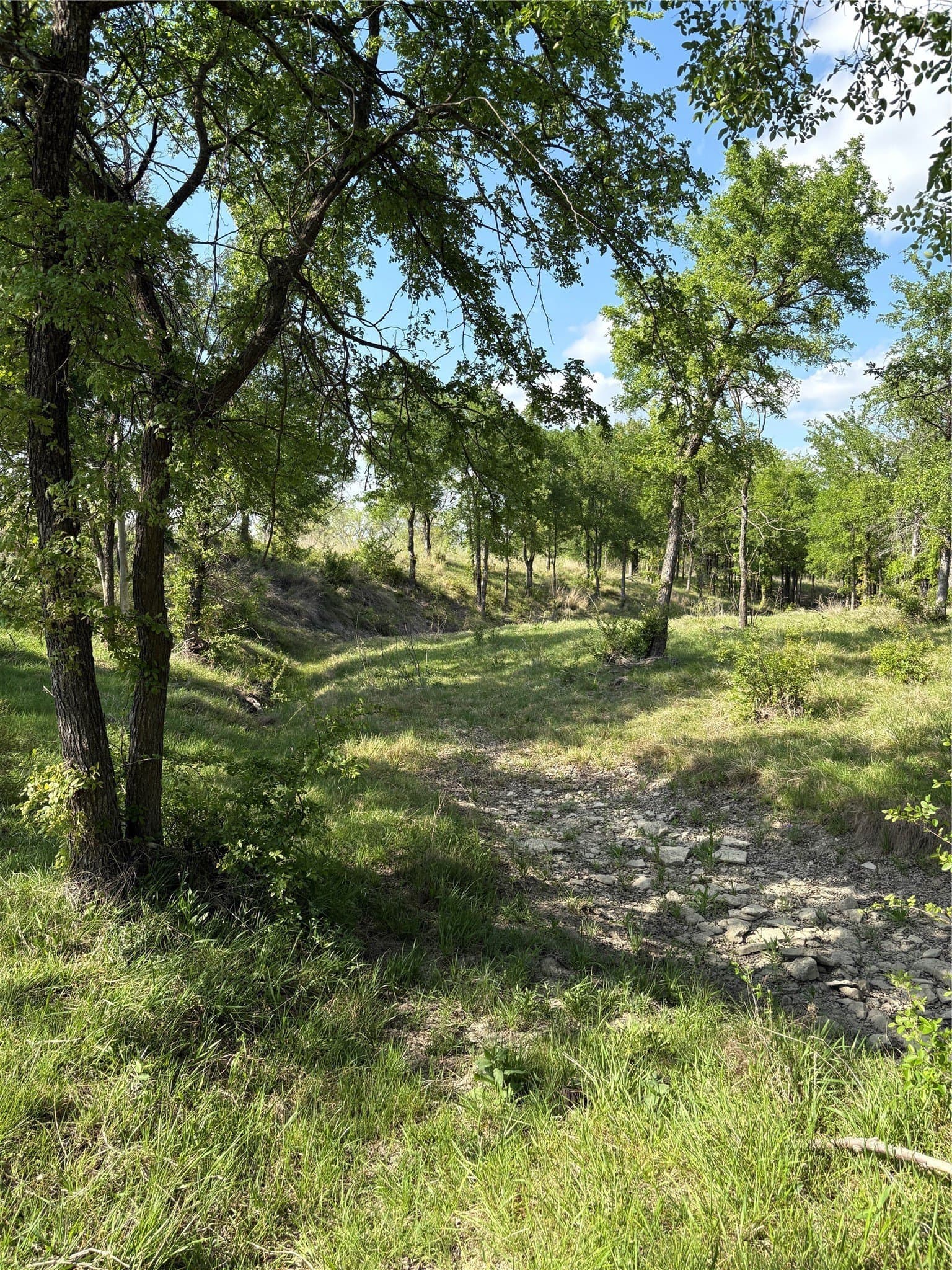 10.01 acres in Comanche County - photo 4