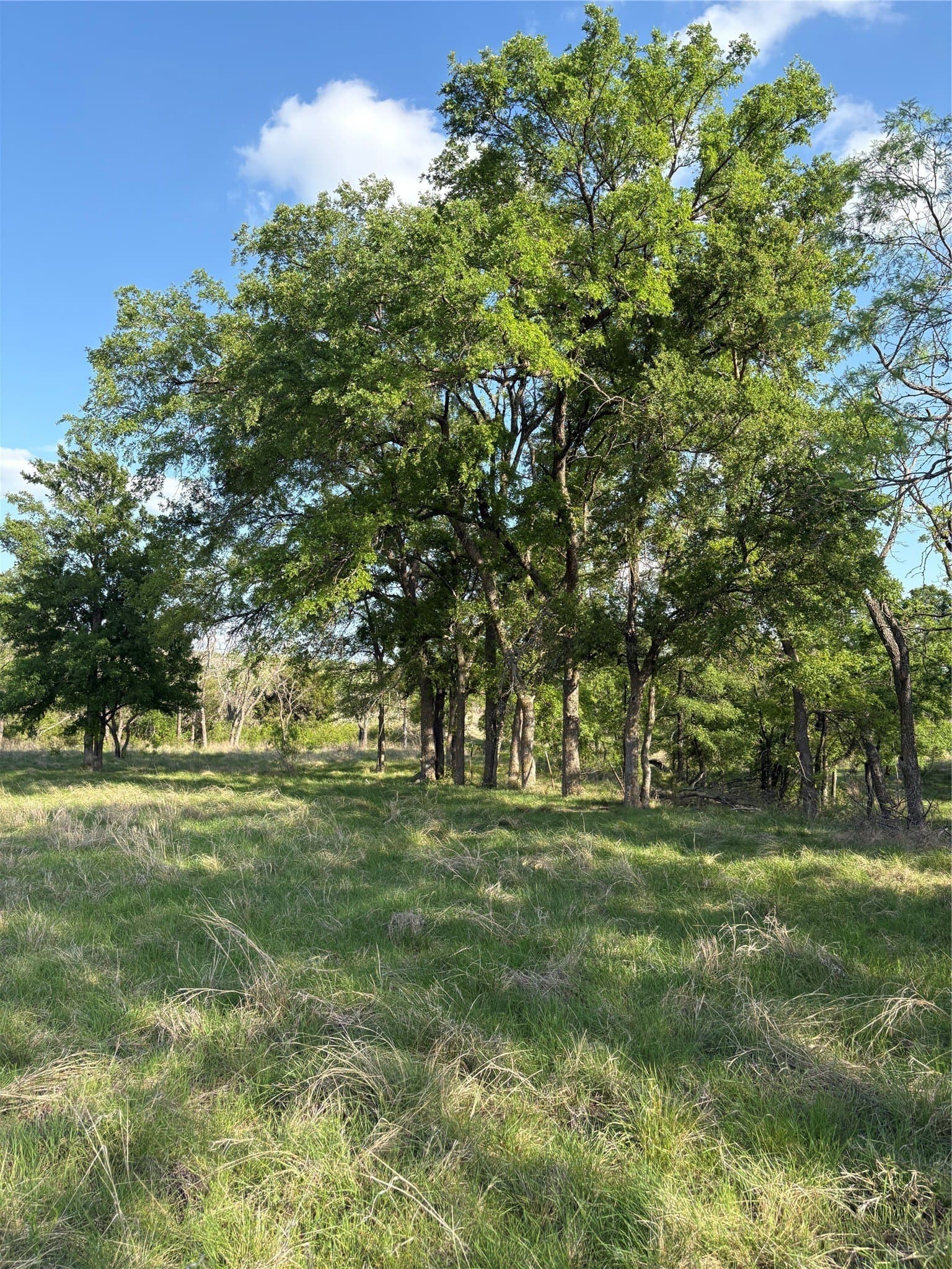 10.01 acres in Comanche County - photo 9