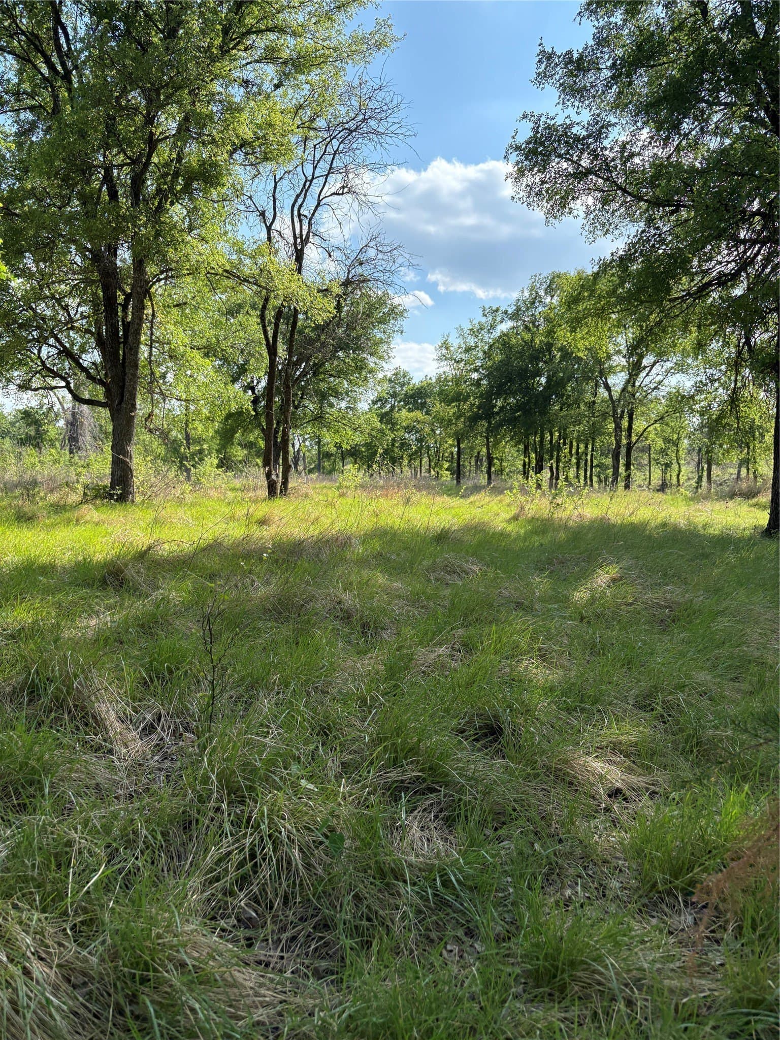 10.01 acres in Comanche County - photo 8