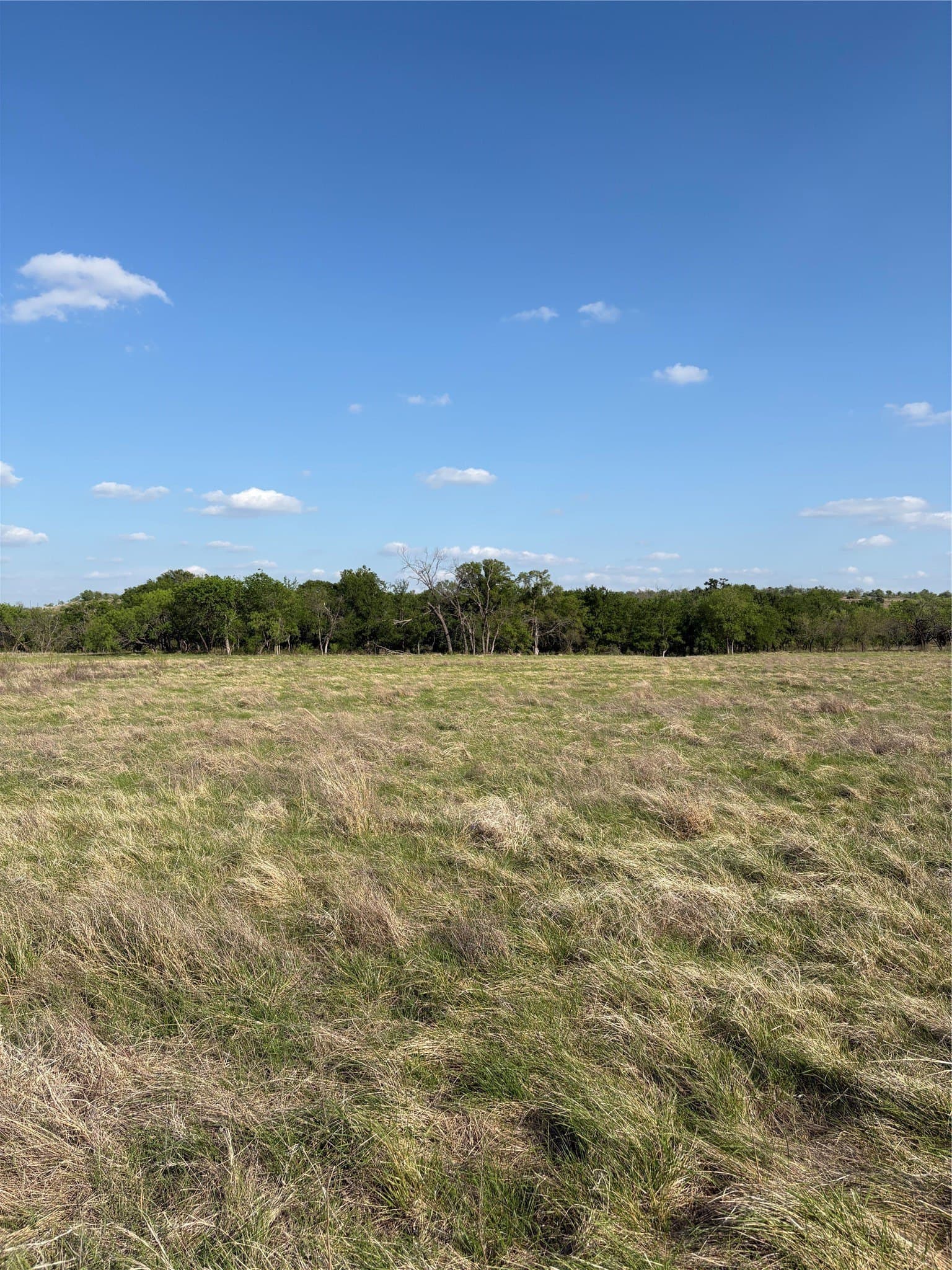 10.01 acres in Comanche County - photo 10