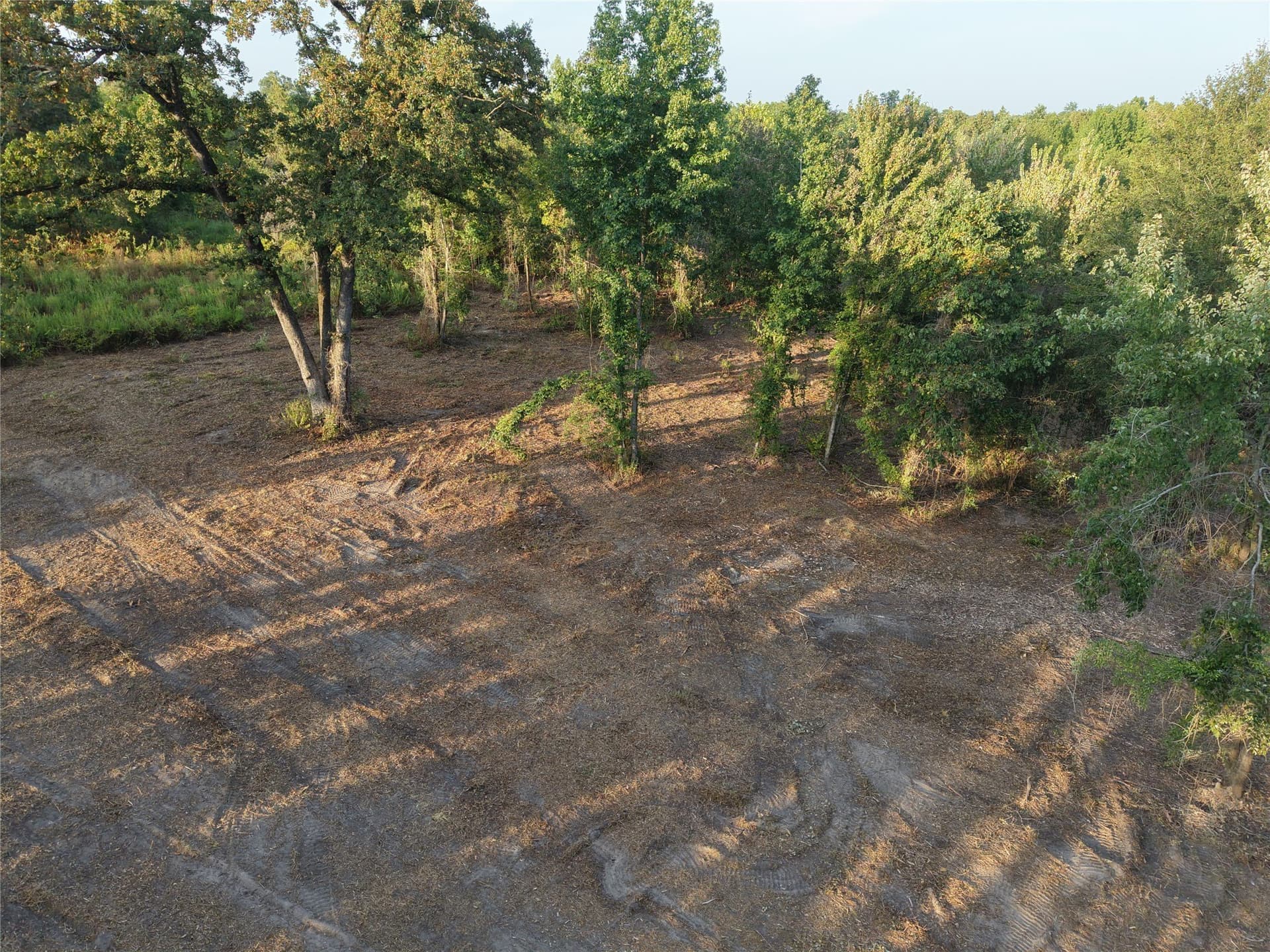 1.51 acres in Camp County - photo 4