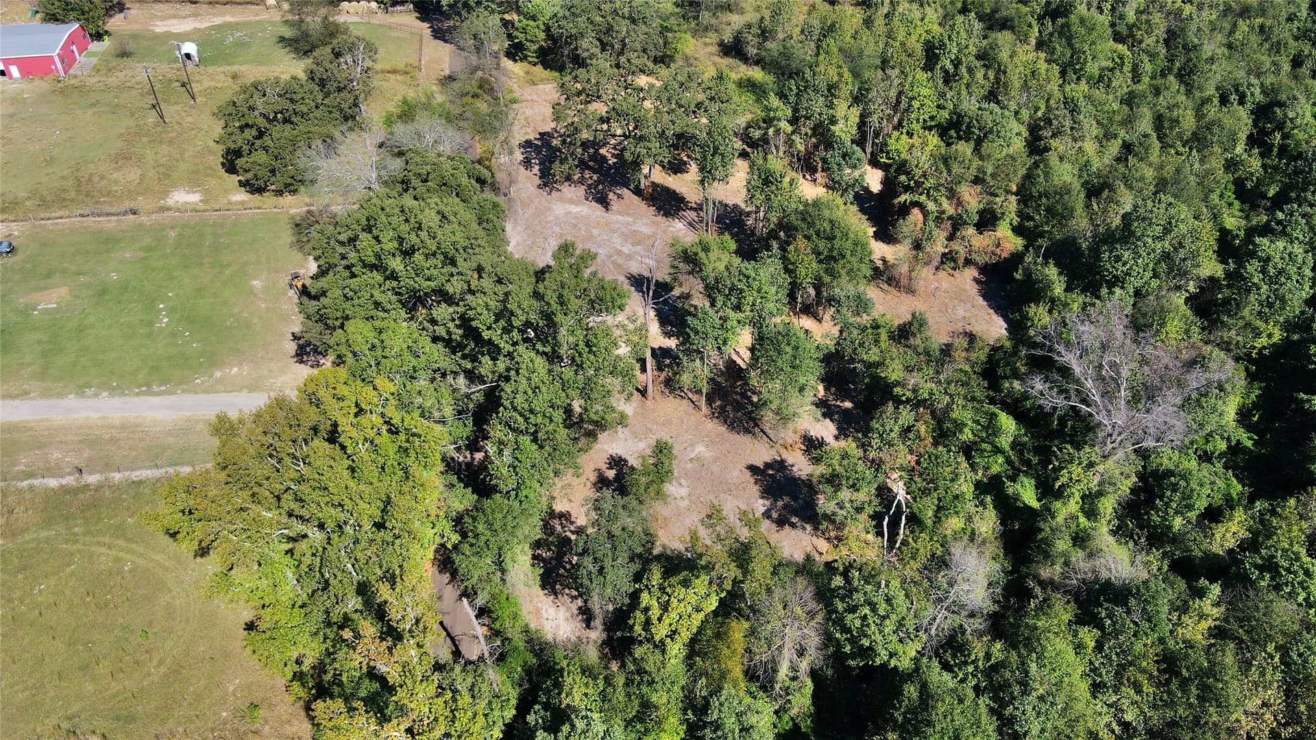1.51 acres in Camp County - photo 8