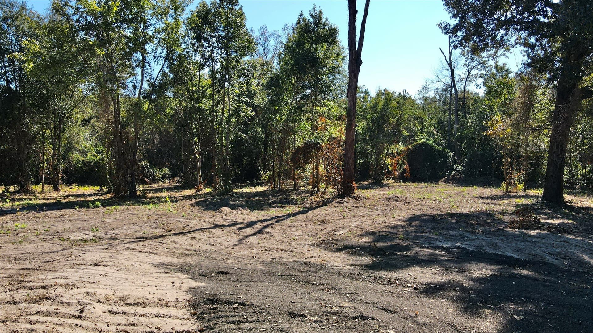1.51 acres in Camp County - photo 2