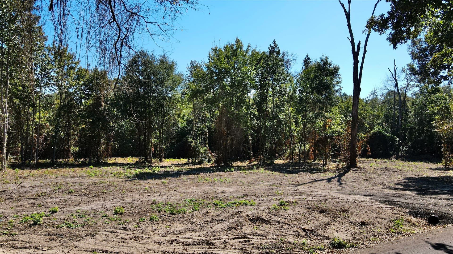 1.51 acres in Camp County - photo 4