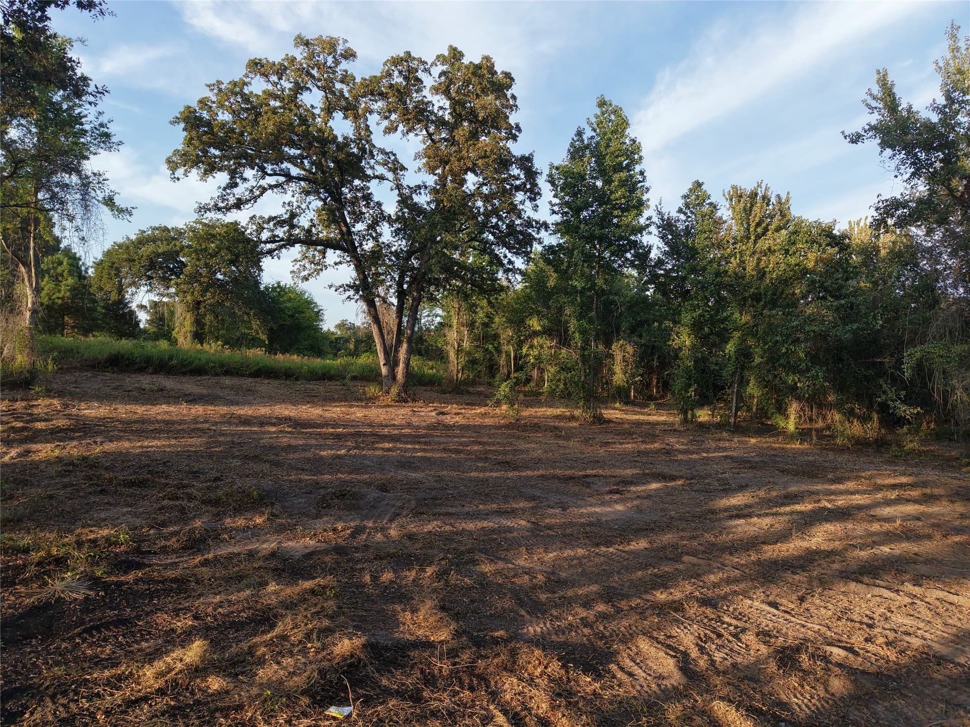1.51 acres in Camp County - photo 6