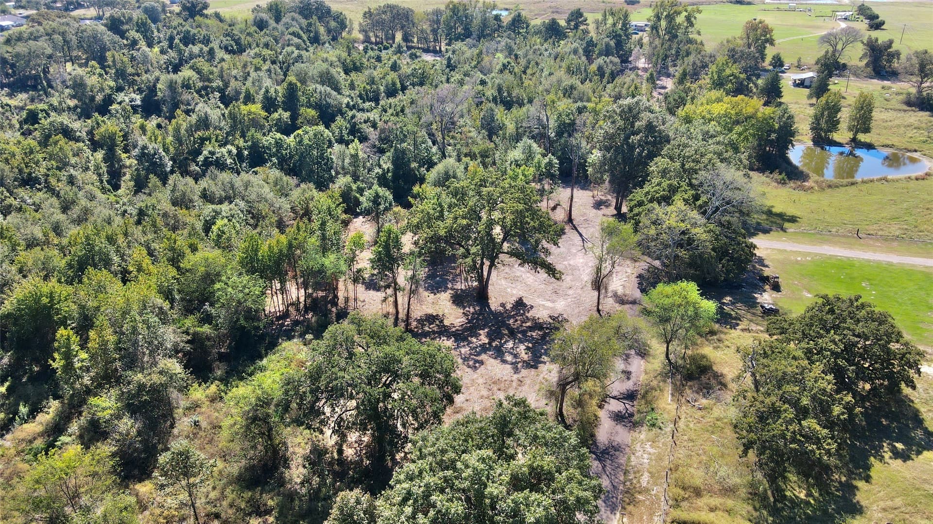 1.51 acres in Camp County - photo 6