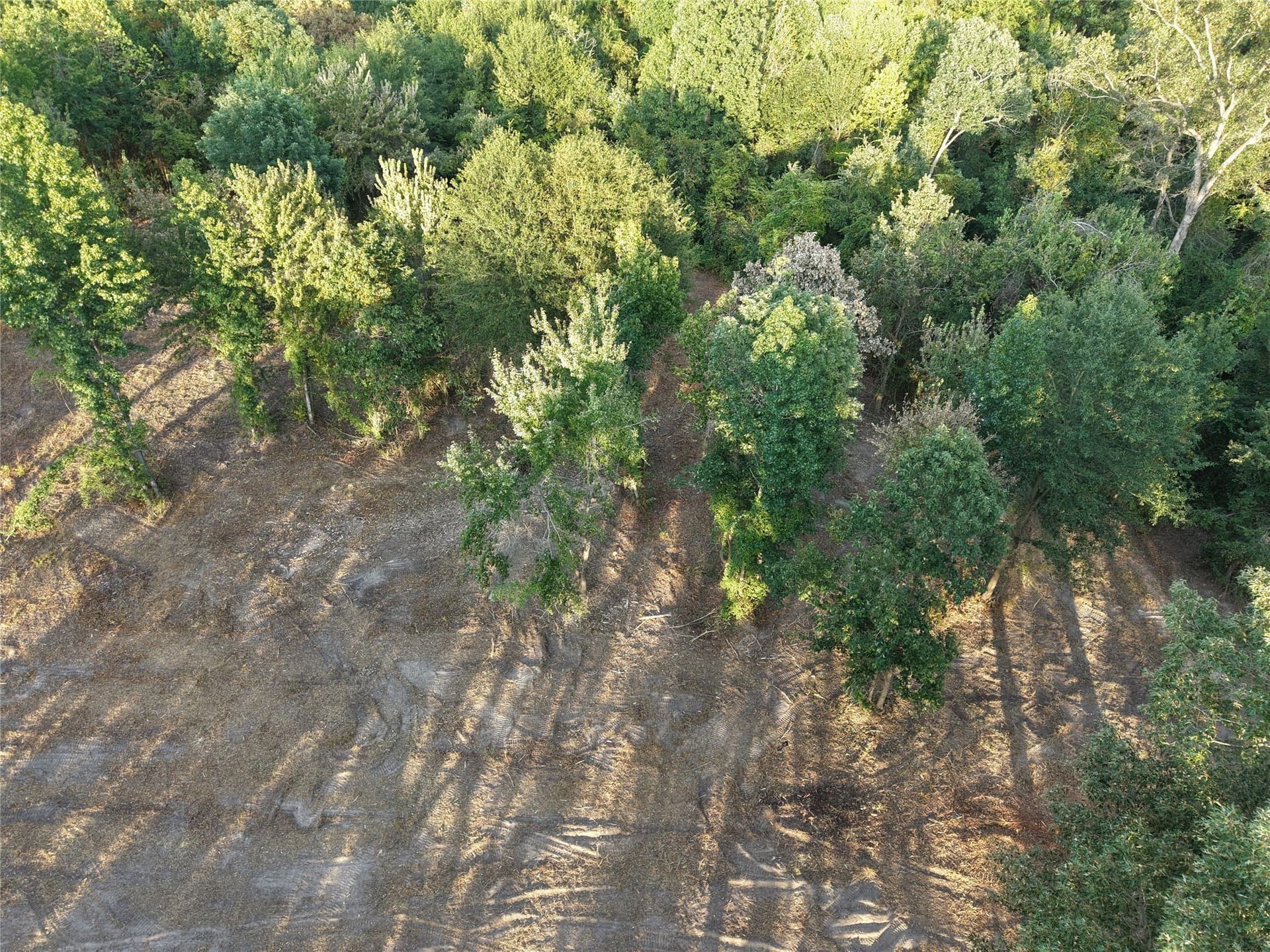 1.51 acres in Camp County - photo 3
