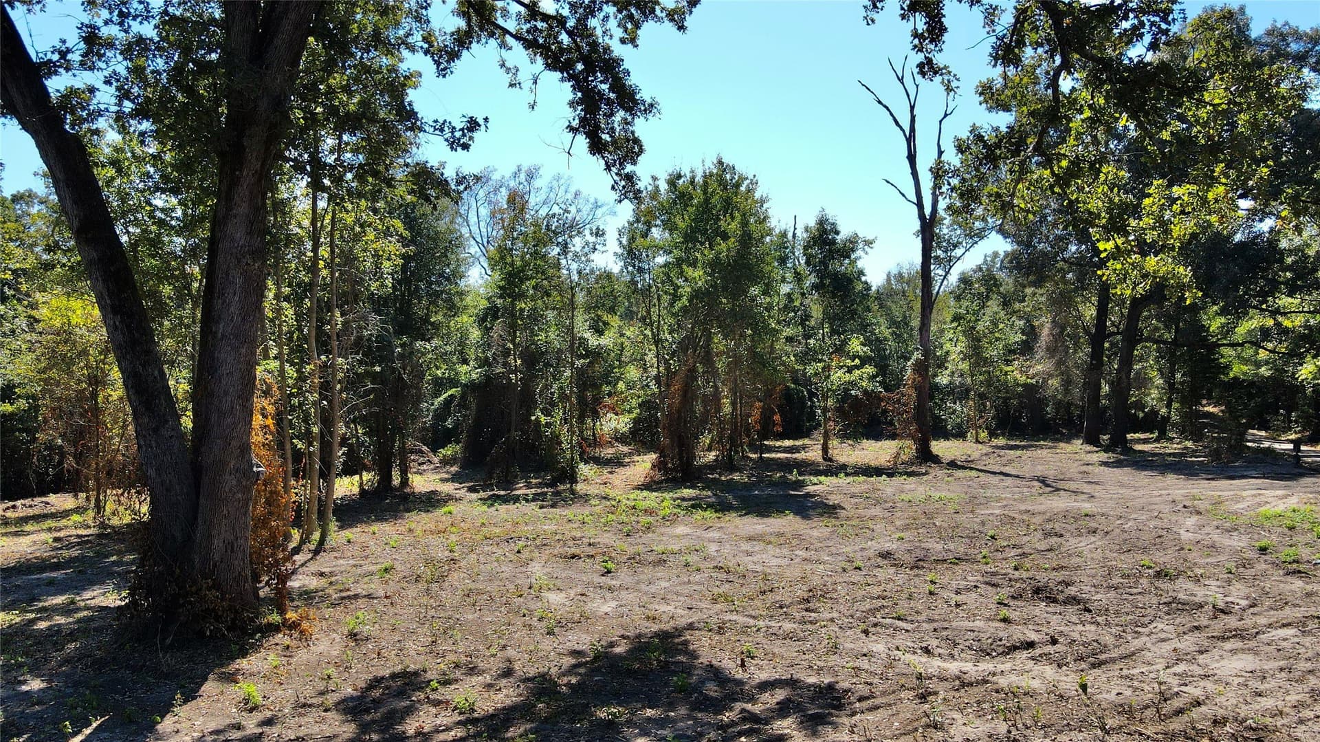 1.51 acres in Camp County - photo 5