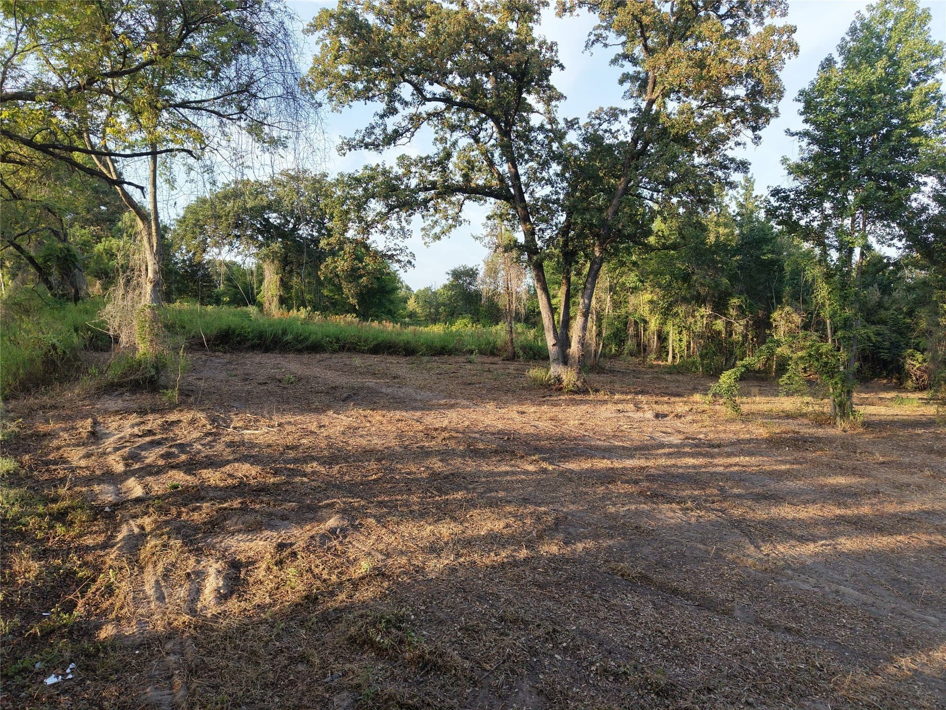 1.51 acres in Camp County - photo 5