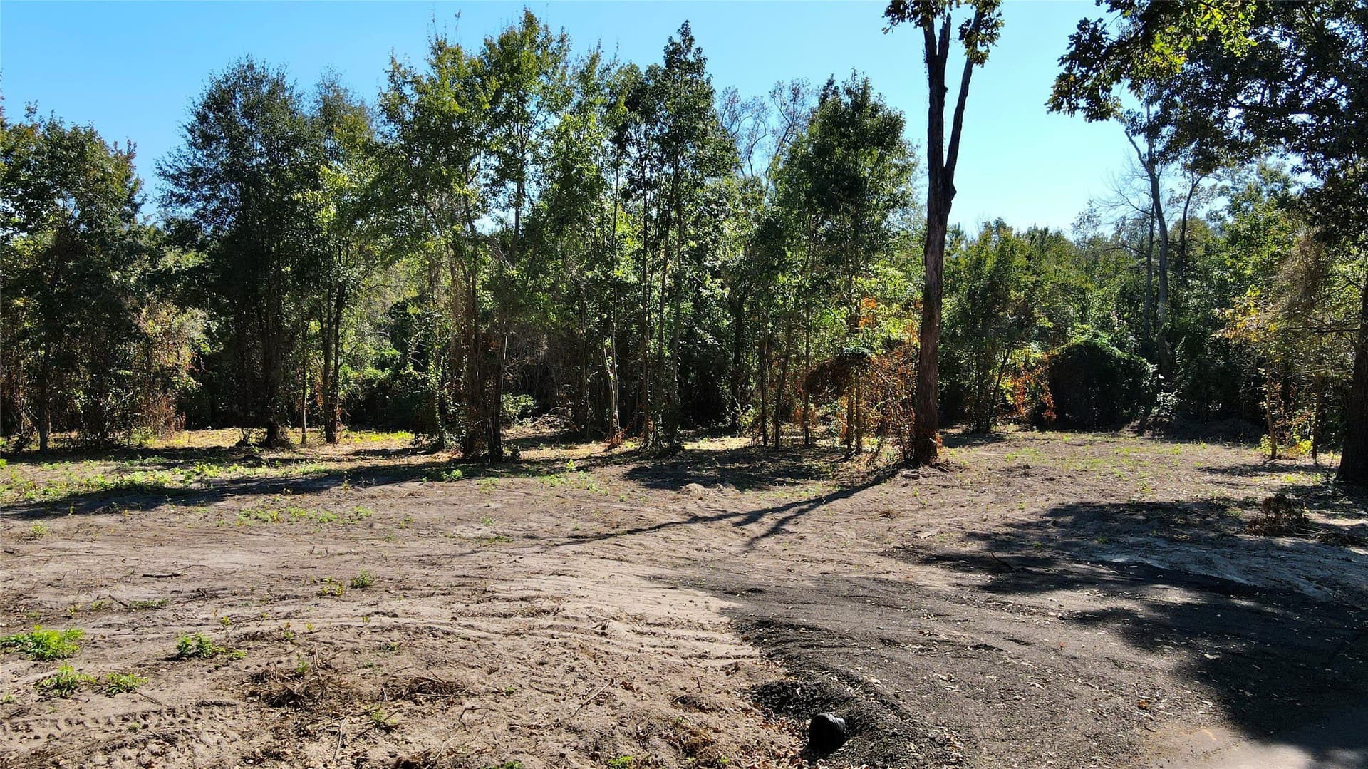 1.51 acres in Camp County - photo 3