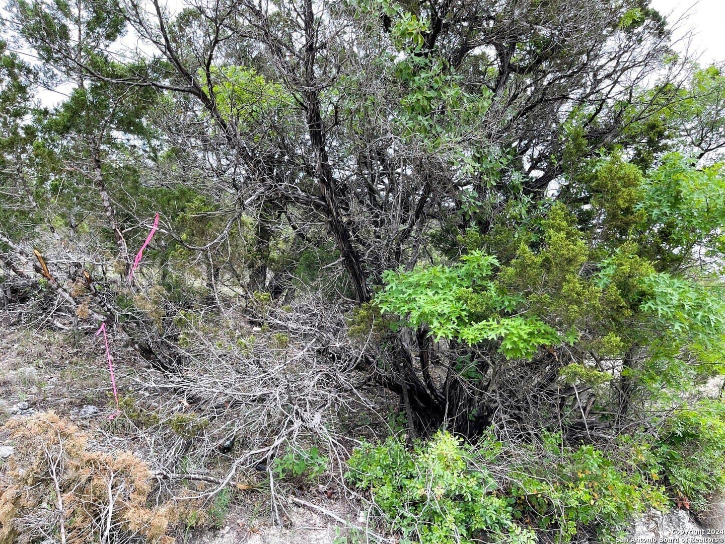 1.22 acres in Bandera County - photo 6