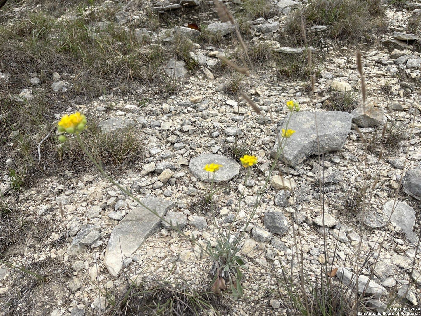 1.22 acres in Bandera County - photo 15