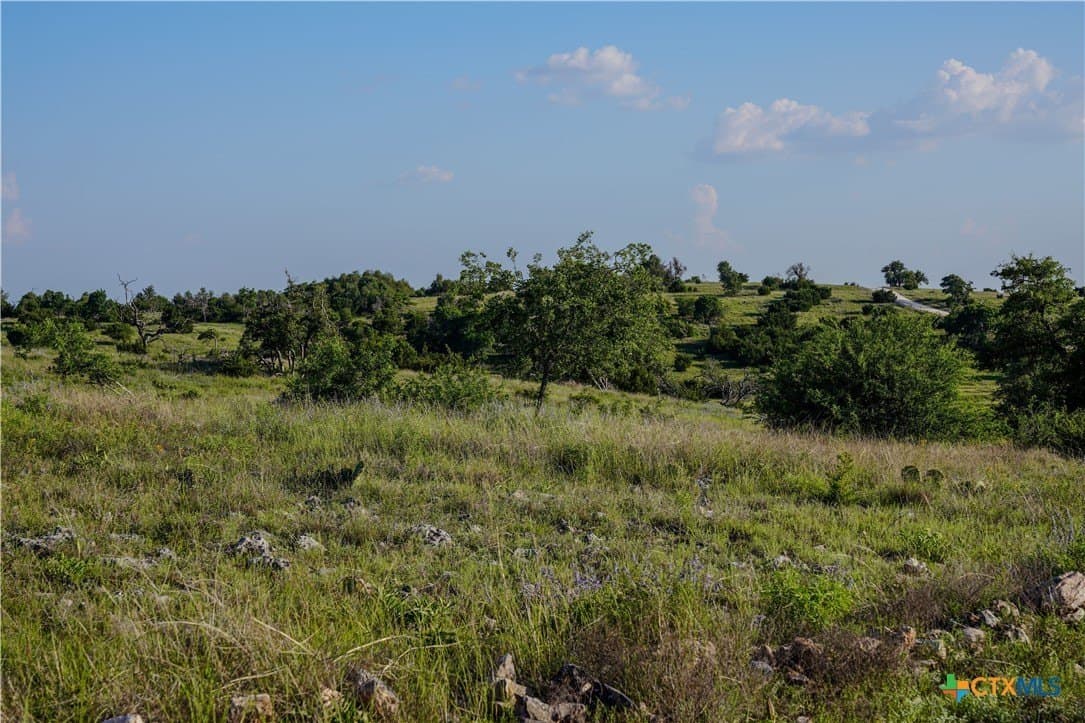 126.21 acres in Gillespie County gallery image 3