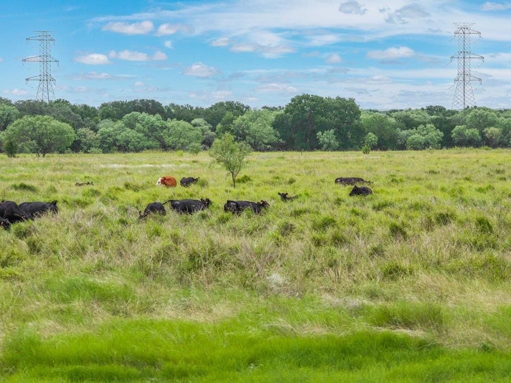 47 acres in Coleman County - photo 65