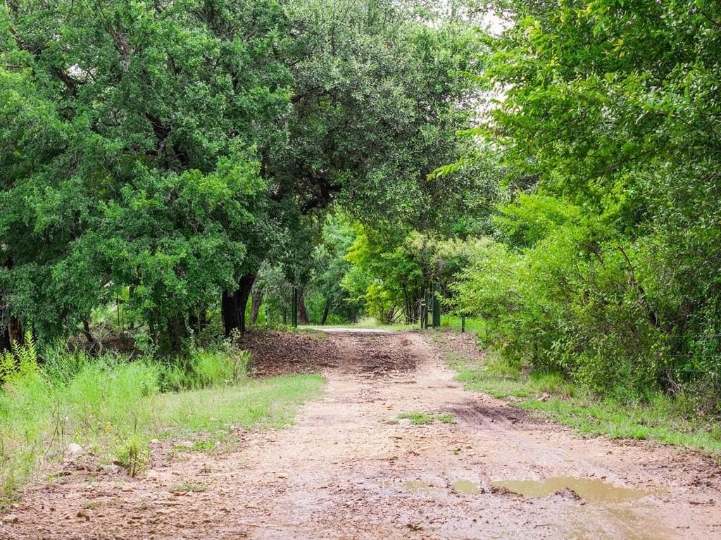 47 acres in Coleman County - photo 58