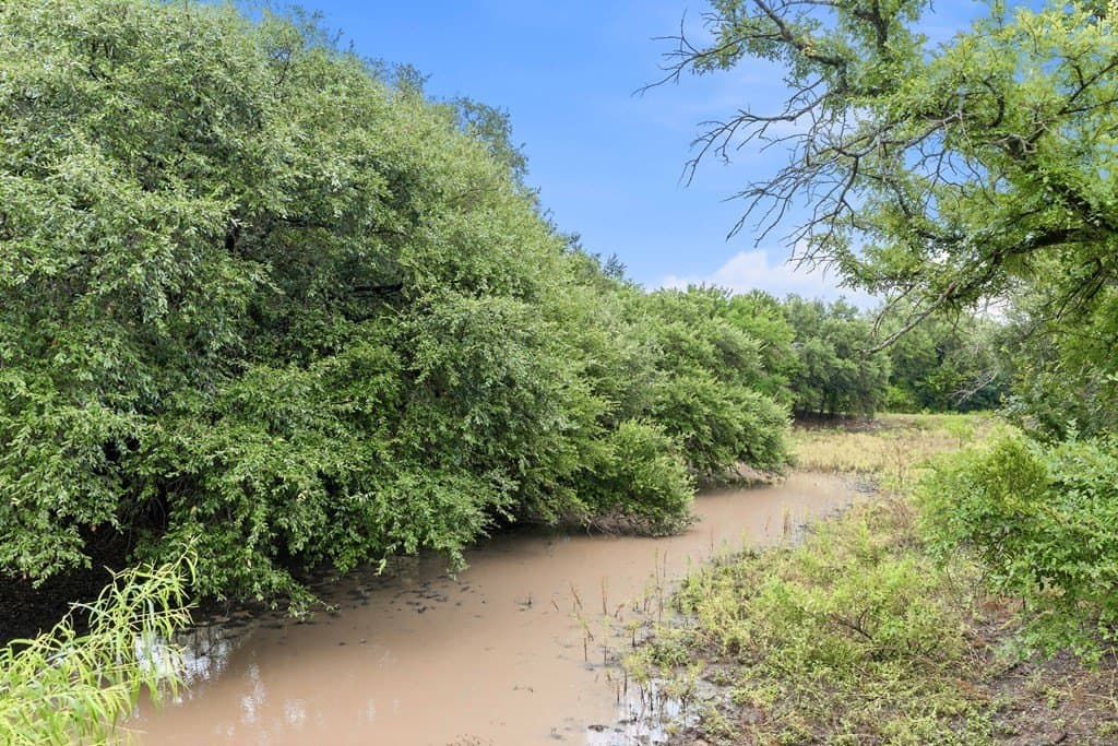 47 acres in Coleman County - photo 50