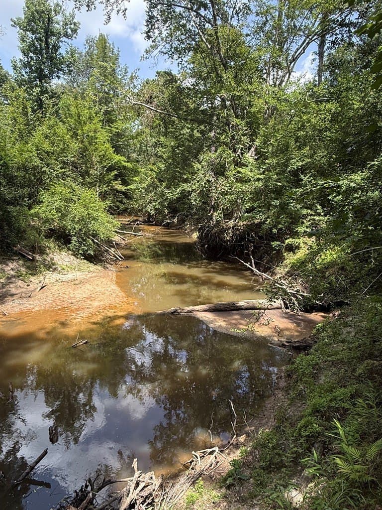 25.29 acres in Texas County - photo 9