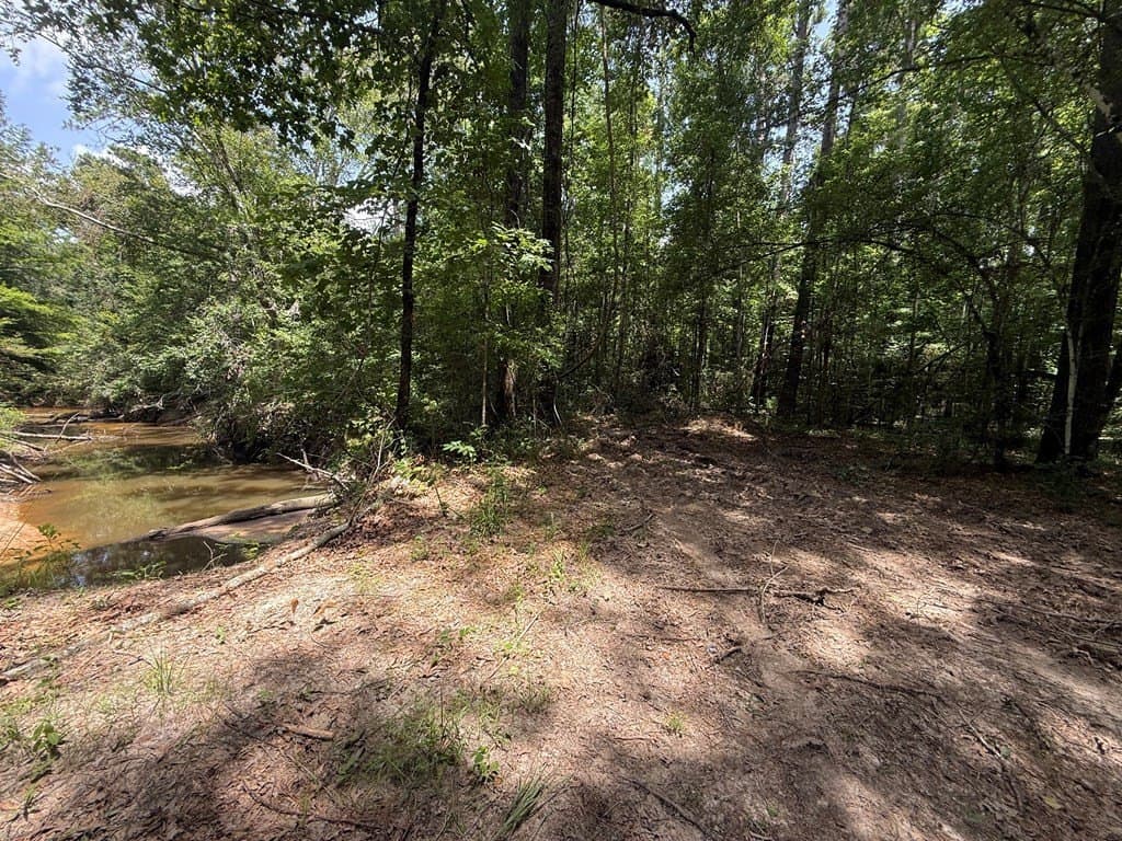 25.29 acres in Texas County - photo 10